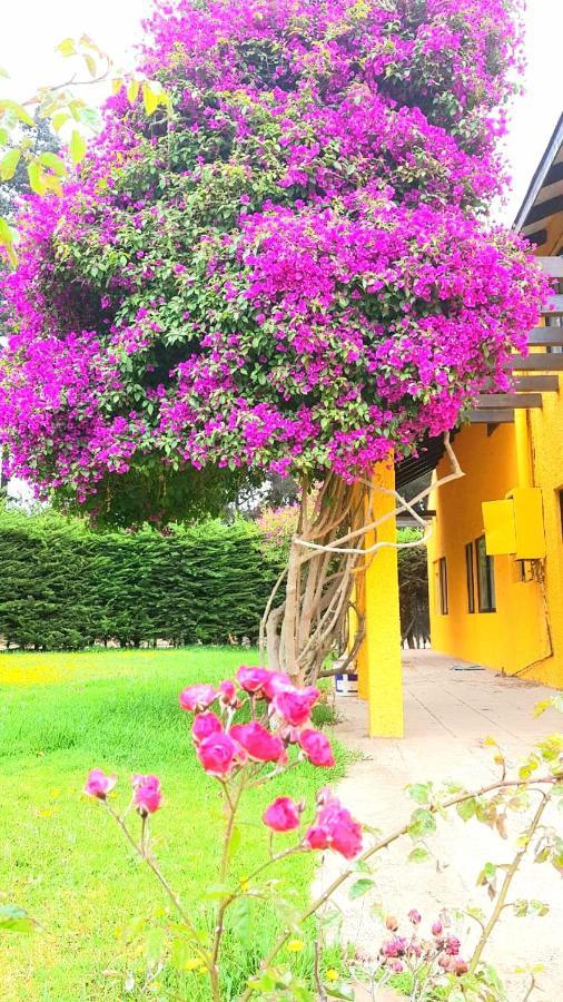 Casa Felice Hostal La Serena Exterior foto