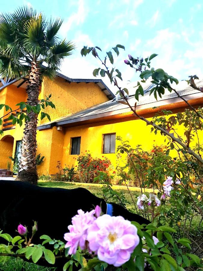 Casa Felice Hostal La Serena Exterior foto