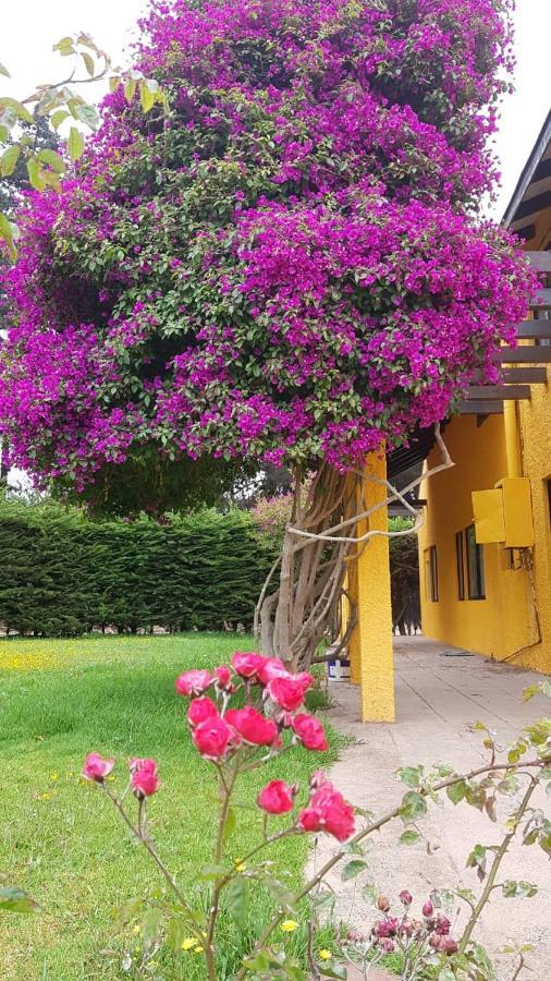 Casa Felice Hostal La Serena Exterior foto