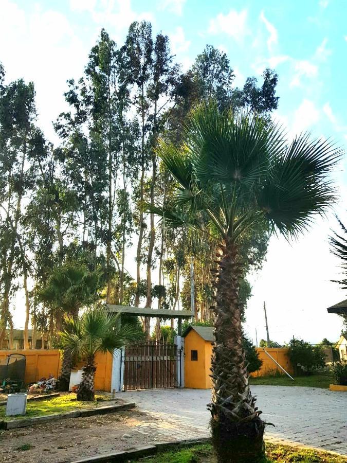 Casa Felice Hostal La Serena Exterior foto