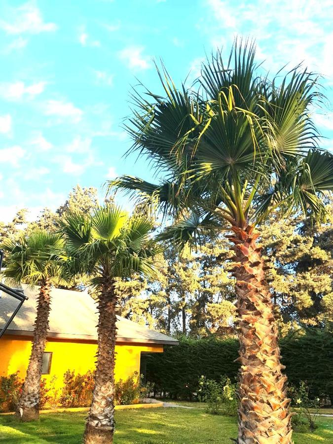 Casa Felice Hostal La Serena Exterior foto