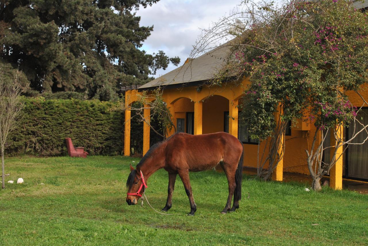 Casa Felice Hostal La Serena Exterior foto