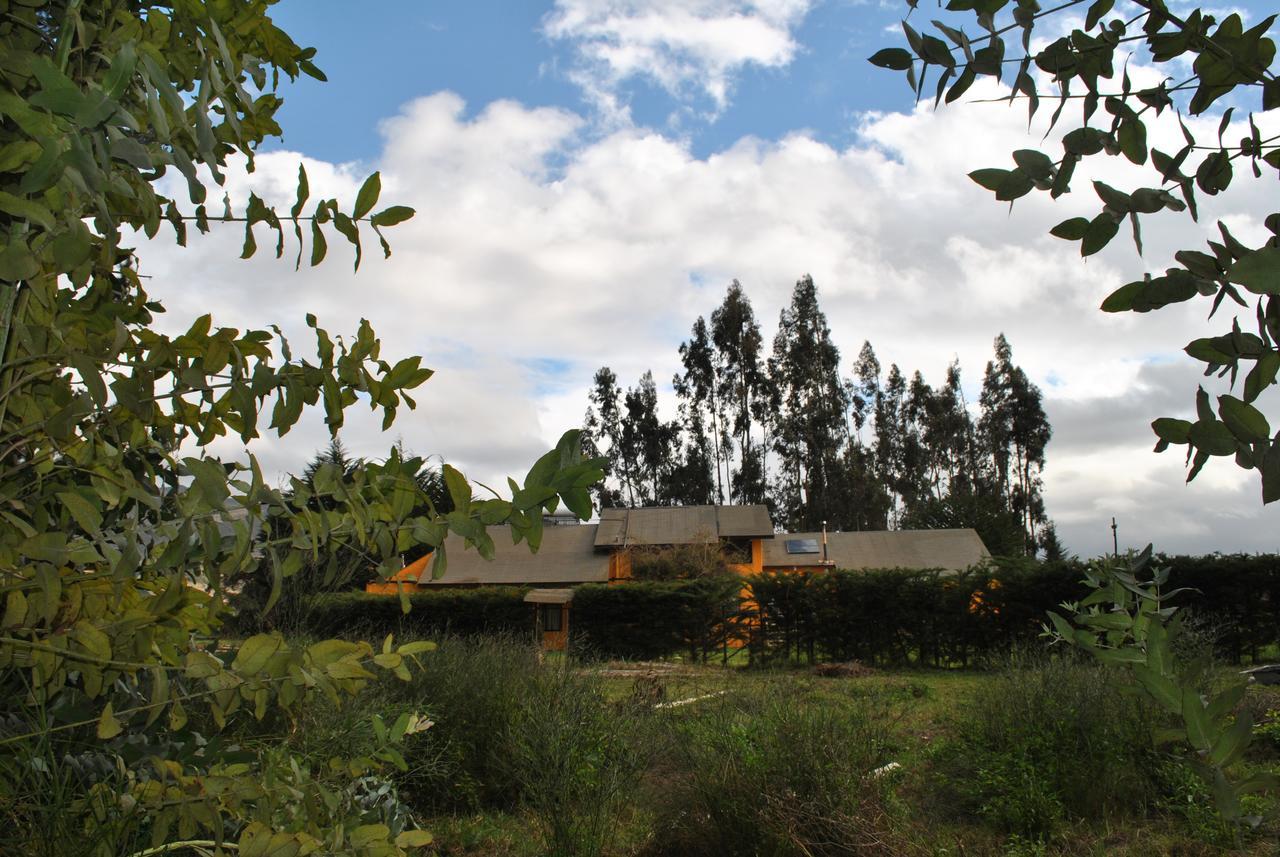 Casa Felice Hostal La Serena Exterior foto