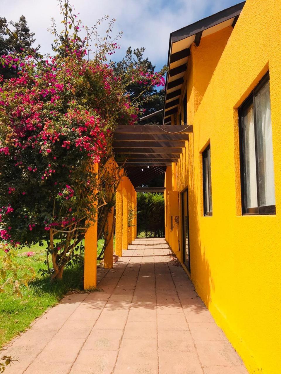 Casa Felice Hostal La Serena Exterior foto
